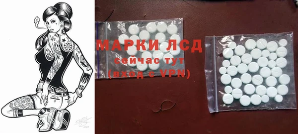 шишки Беломорск