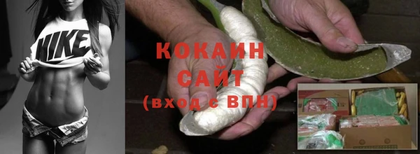 шишки Беломорск