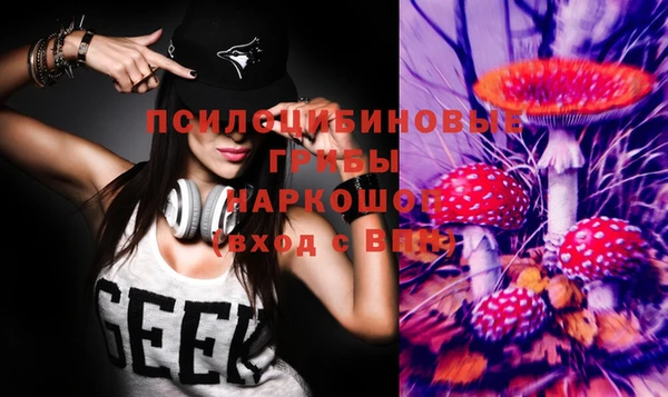 гидропоника Белоозёрский
