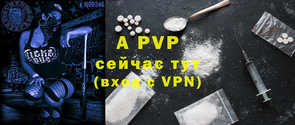 шишки Беломорск