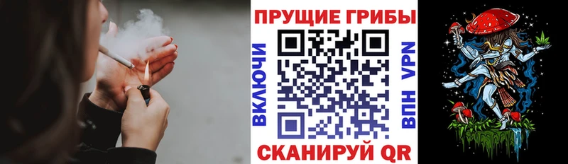 Купить  Сычёвка  Псилоцибиновые грибы прущие грибы 